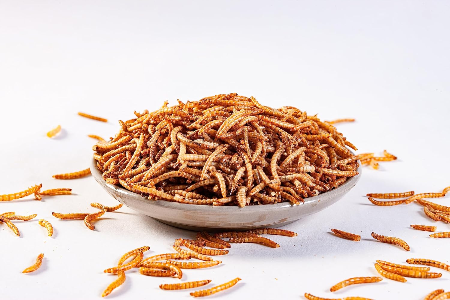 Dried Mealworms for Chickens