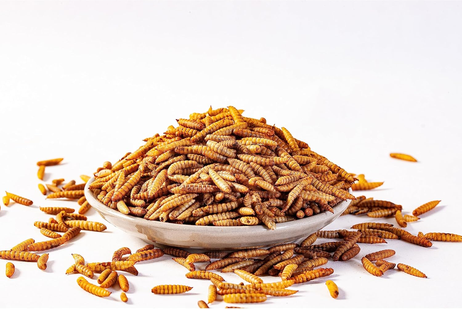 Dried Black Soldier Fly Larvae for Chickens - 100% Natural BSF Larvae More Calcium Than Dried Mealworms - High Protein BSFL Chicken Treats for Laying Hens Ducks Birds