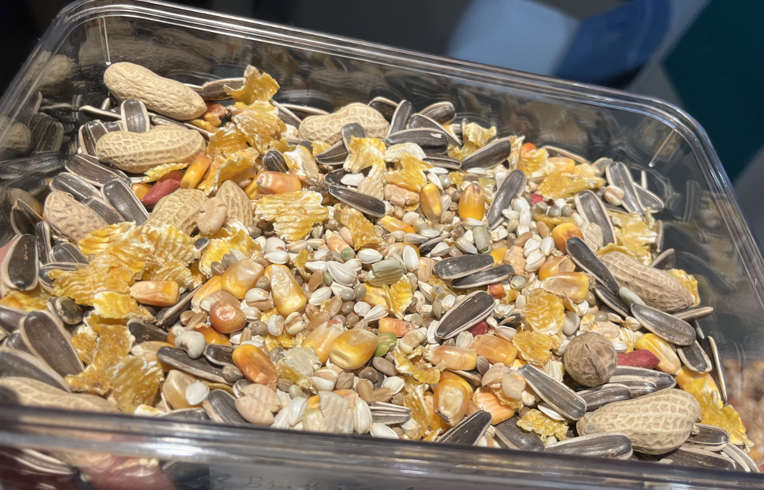 Economy Large Parrot Food