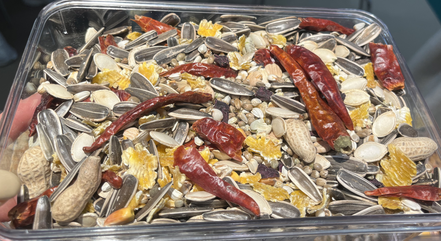 Premium Large Parrot Food
