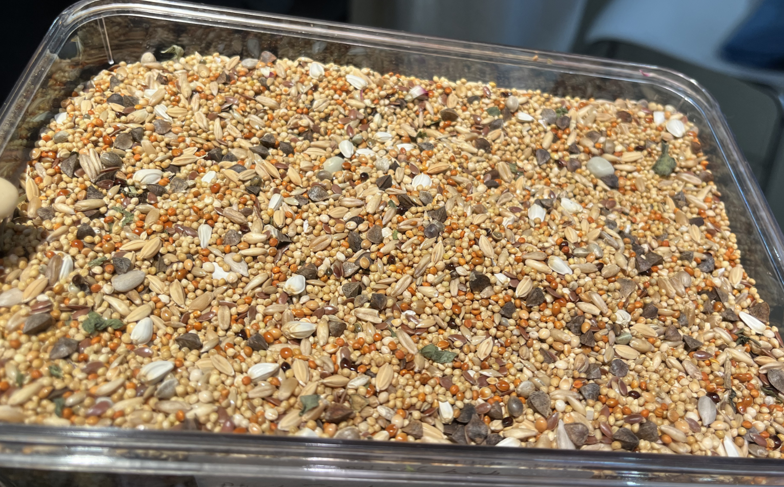 Premium Small Bird Food