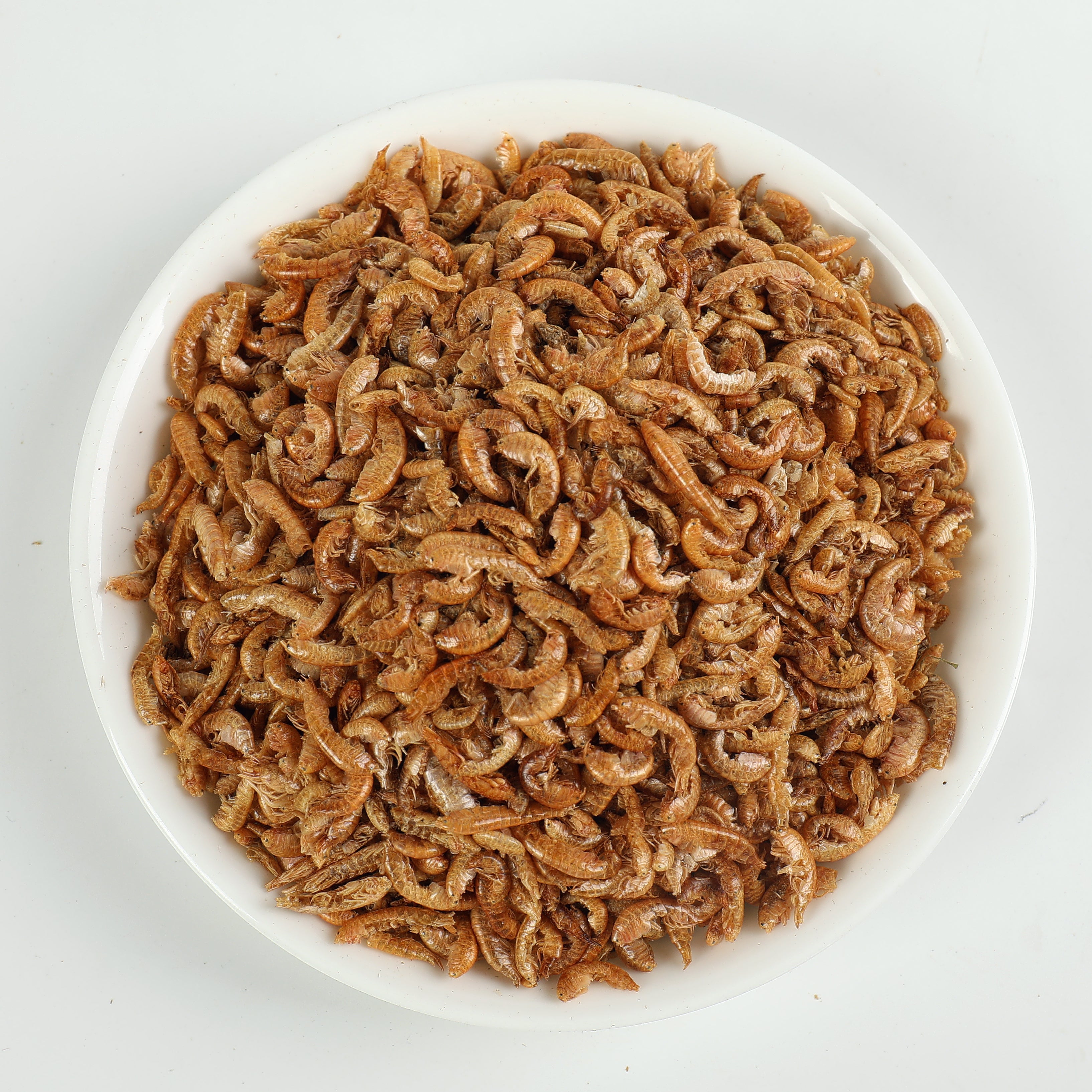 GAMMARUS
