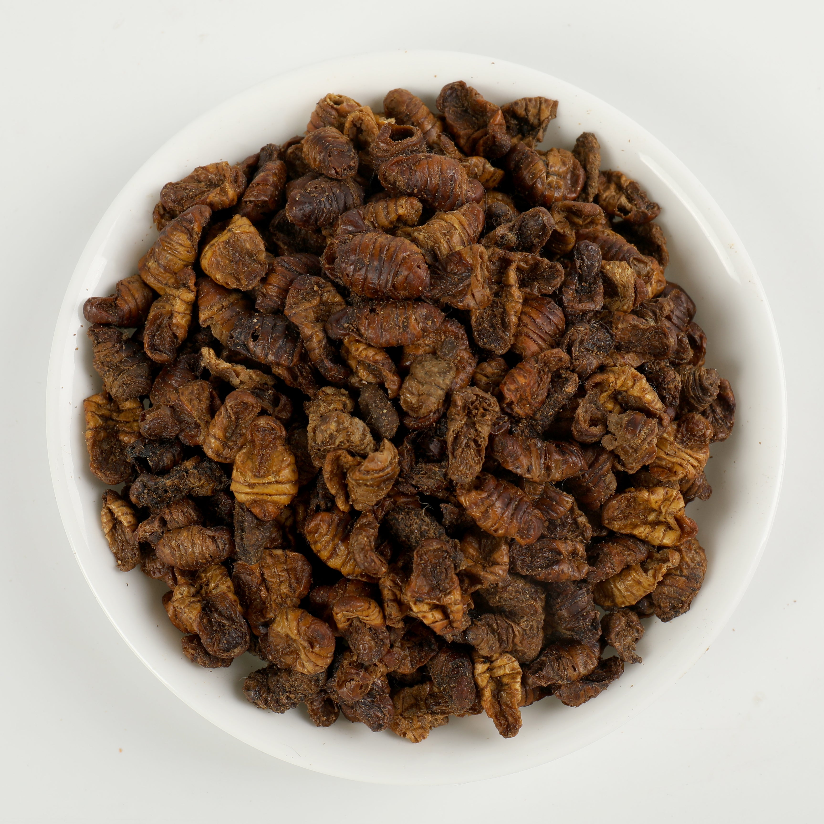 SILKWORMPUPAE