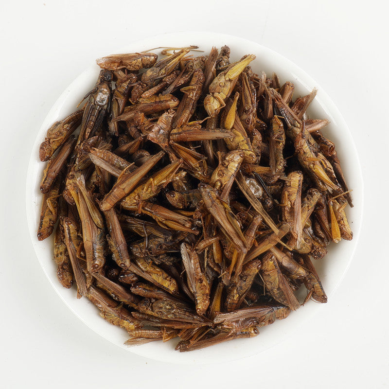 locust