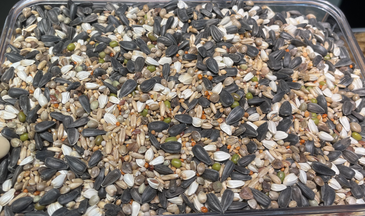 Economy Medium Bird Food