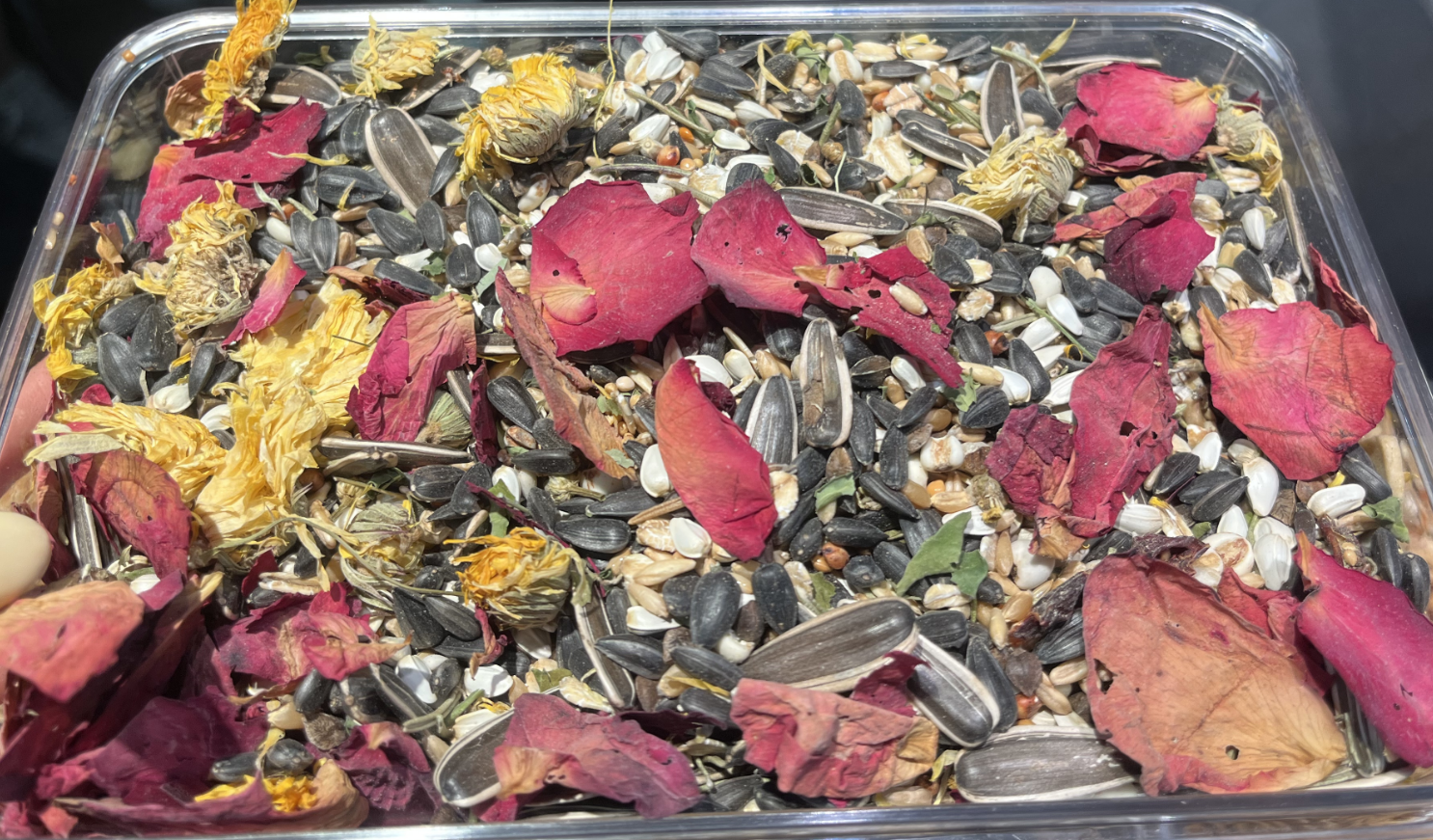 Premium Medium Bird Food