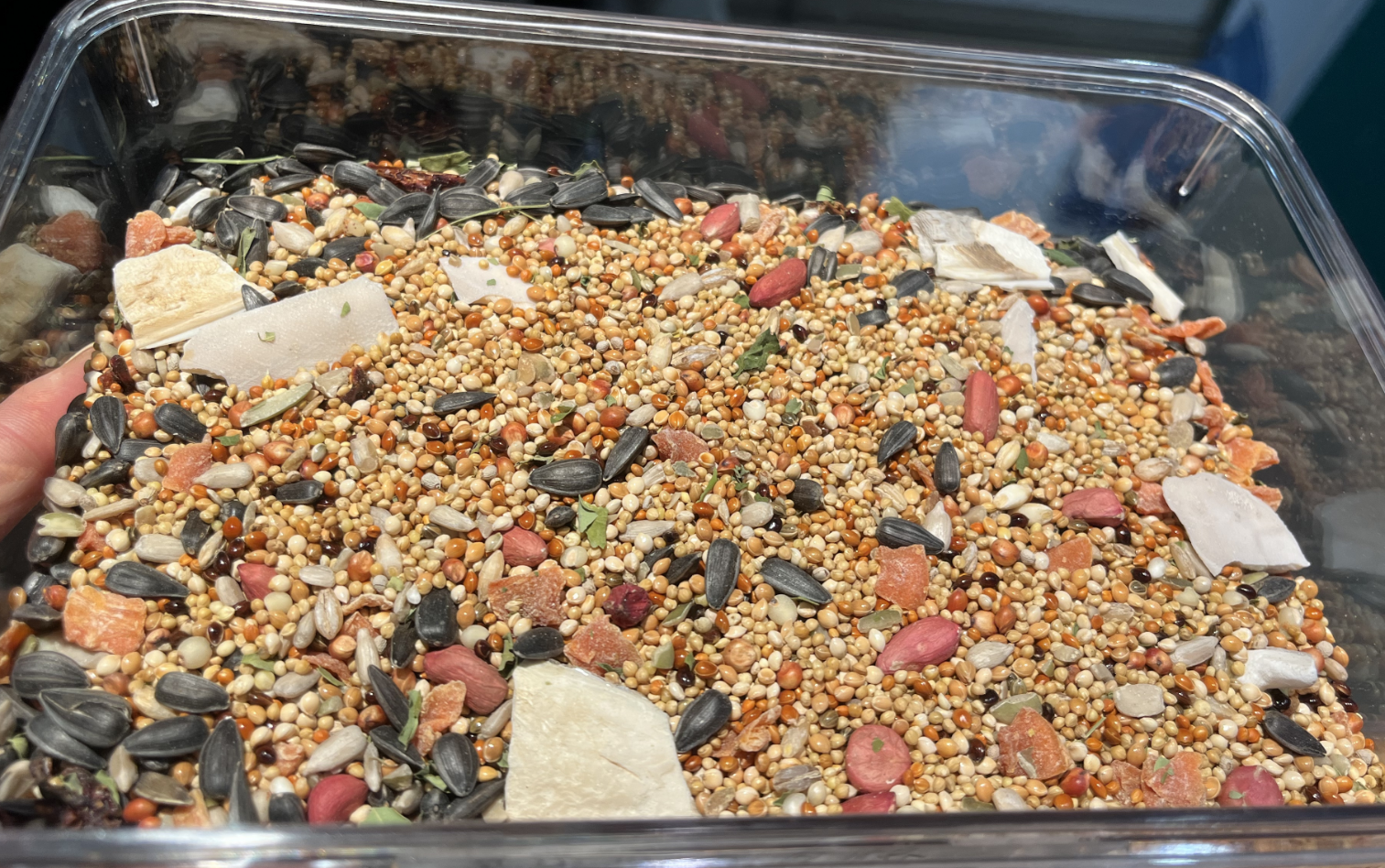 Super Premium Medium Bird Food