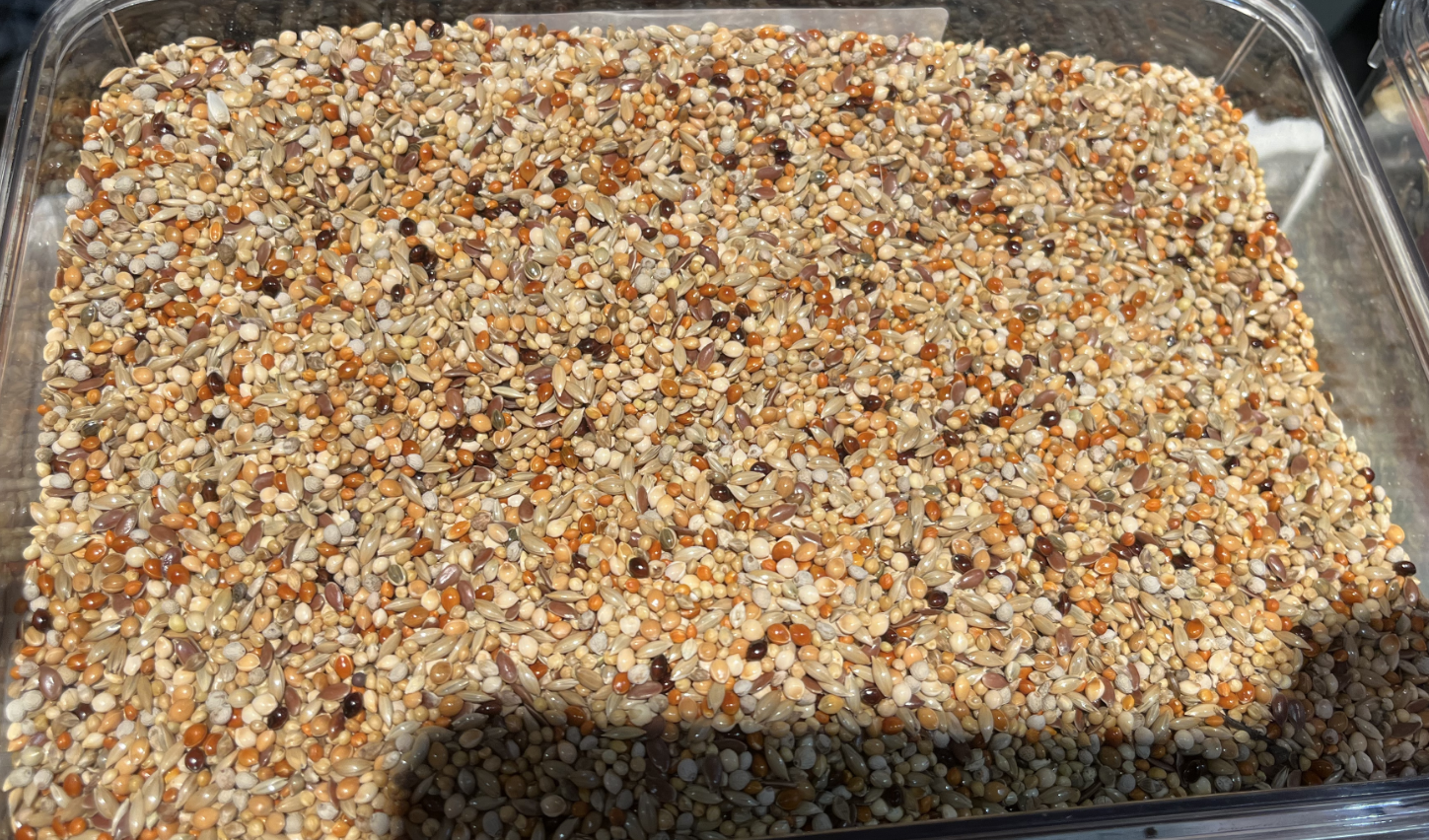 Economy Small Bird Food