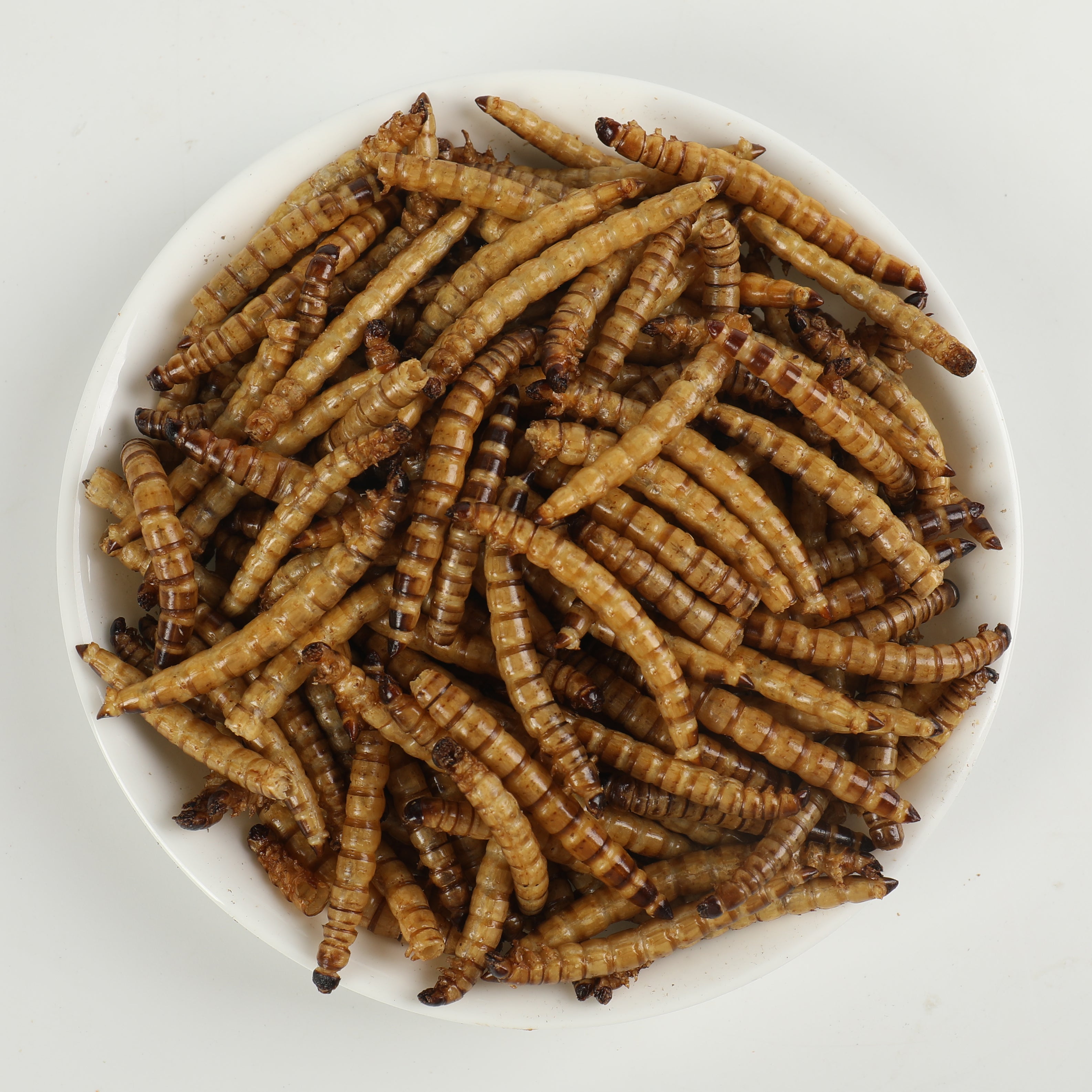 SUPER WORMS